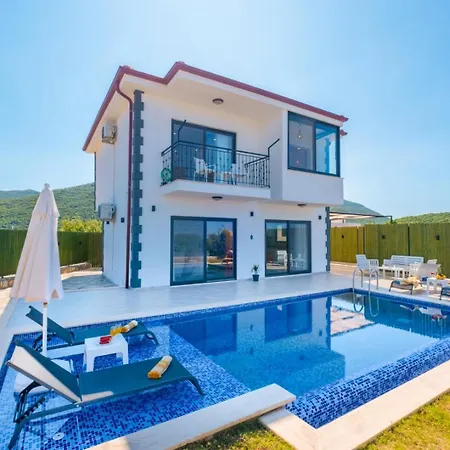 Belenardi
